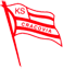 Logo firmy