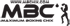 Logo firmy